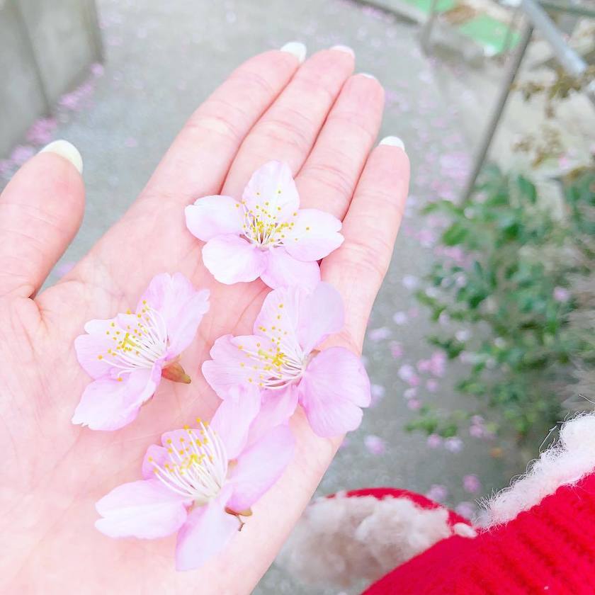 사쿠라이 쇼도 파타ゴ니아도 호소하고 있다! 이번 주말에는 나와 가족을 위해 선거에 가자🙇‍♀️にて紹介している画像