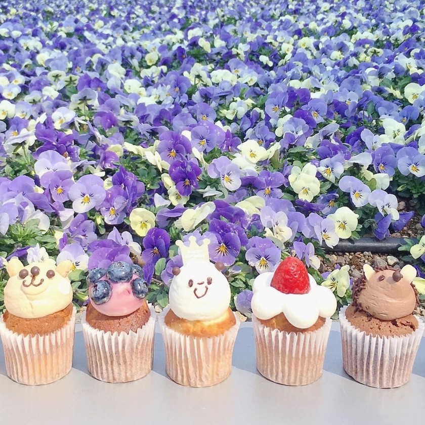 可愛い前撮りの裏技♡撮影小物には、遠慮のいらない【食品サンプル】を使うのがおすすめ♡にて紹介している画像