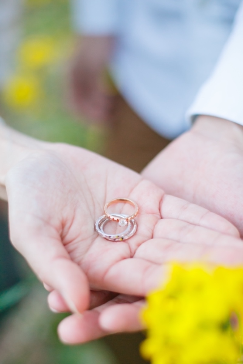 Which Flowers Do You Want to Capture? ♡ A Seasonal Guide to Recommended Flower Fields for Location Photosにて紹介している画像