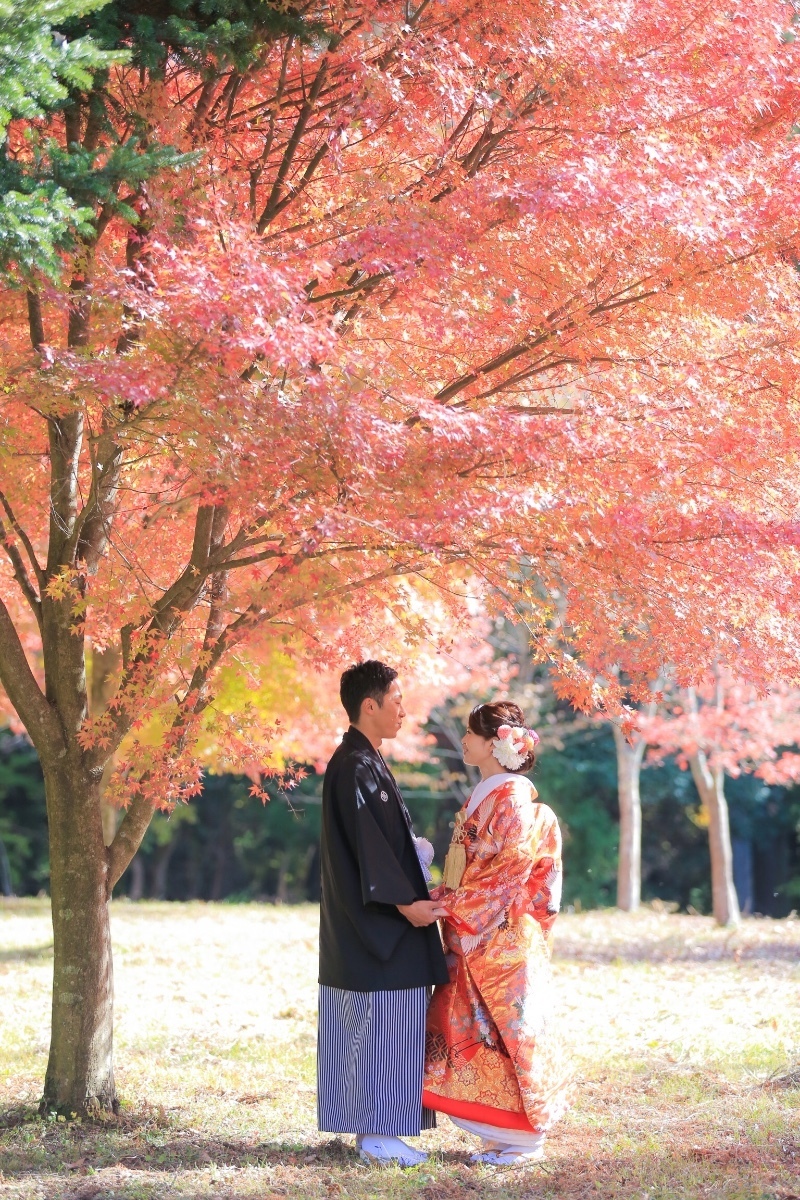 不妨碍和服华丽感的♡〔不使用小物〕和装前期拍摄姿势集＊にて紹介している画像