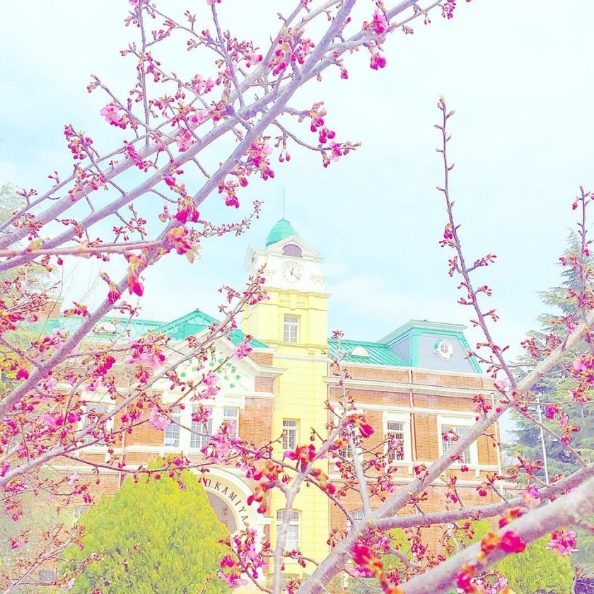 신비로운 절경 가득♡ 지구 반대편〔남미〕의 유명 허니문 스팟 6선＊にて紹介している画像