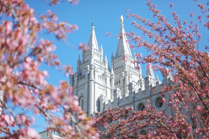 春はもうすぐ♡桜が咲いたら、ほっこり素敵なお花見ウエディングをしてみたい＊にて紹介している画像