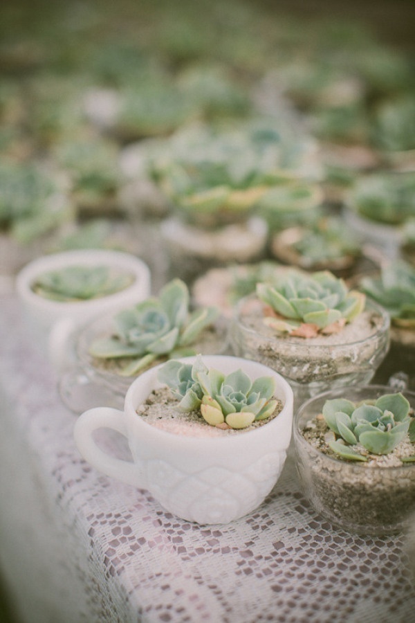 "A Teacup Full of Flowers: So Adorable! ♡"にて紹介している画像