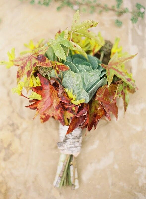 Gathering Beautiful Images of Autumn Colors ♡にて紹介している画像