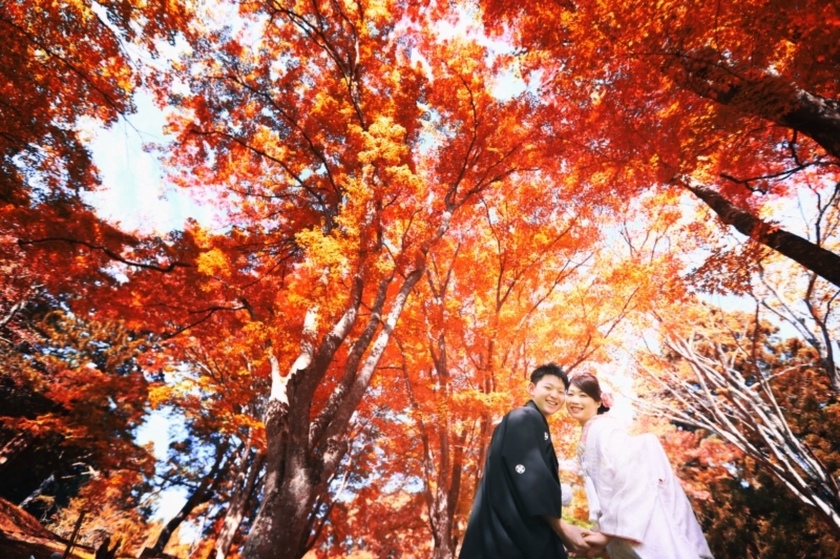 【21ショット】神社での撮影でカメラマンさんにお願いしたいウェディングフォト【総まとめ】にて紹介している画像