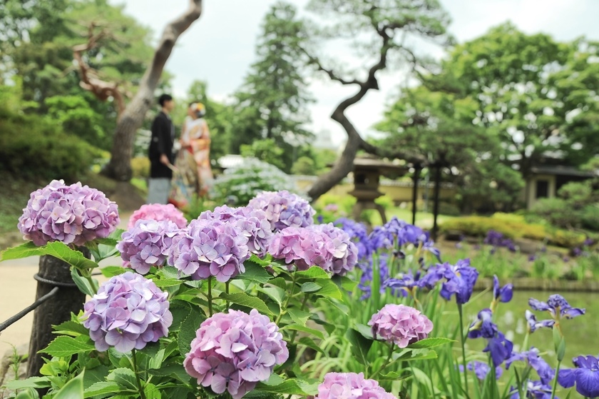 [Recommended Selections] Choose with Confidence ♡ A Comprehensive List of Renowned Wedding Photo Studios Nationwideにて紹介している画像