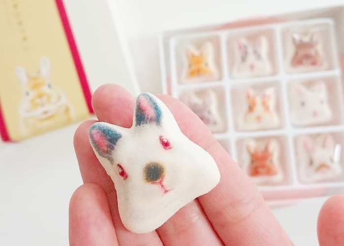 京都の和風マシュマロうさぎのほうずいが可愛い！店舗や通販も