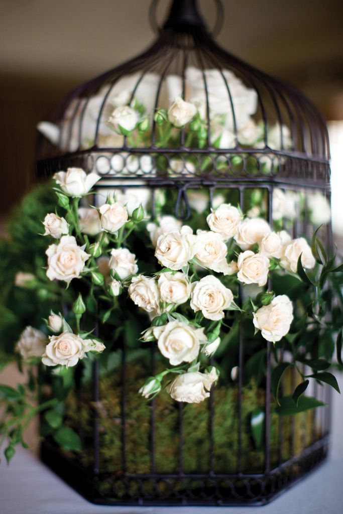 Cute Birdcages: Elevate Your Venue Decor with Stylish Birdcage Coordination*にて紹介している画像