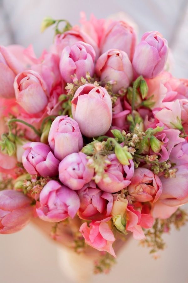 Smile Blooming with Full Blossoms: Spring-Colored Bouquets Recommended by Double Flower!にて紹介している画像