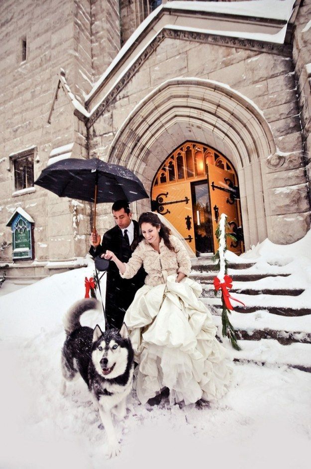 "Romantic Overseas Winter Weddings to Imitate When It Snows: A Snow Wedding Inspiration"にて紹介している画像