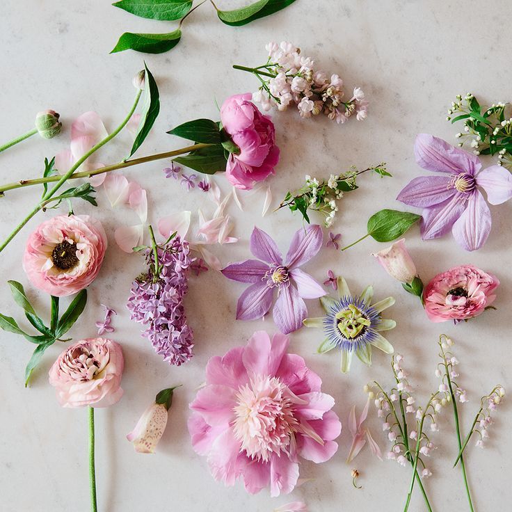 Smile Blooming with Full Blossoms: Spring-Colored Bouquets Recommended by Double Flower!にて紹介している画像