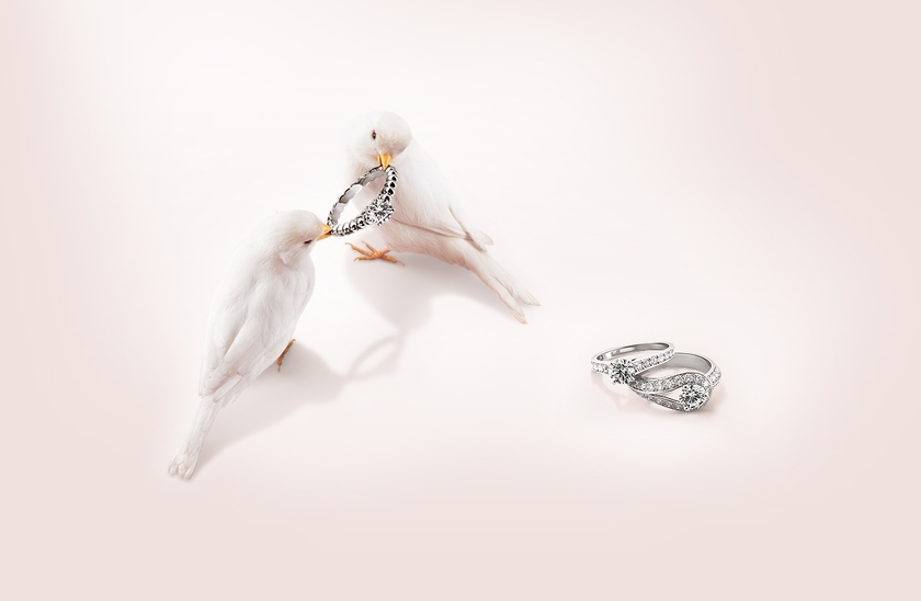 Engagement Ring Hunting: 4 High Jewelry Brands Women Worldwide Dream About!にて紹介している画像
