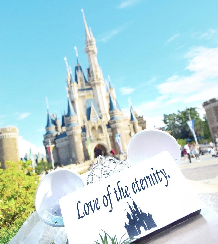 "I Want to Go Just for This! A Collection of Cute Photo Spots at Disneyland*"にて紹介している画像