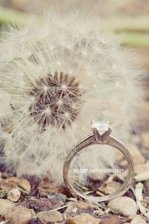 Too Cute! Let's Capture Stylish Memories with Wedding Rings Through Stunning Photos ♡にて紹介している画像