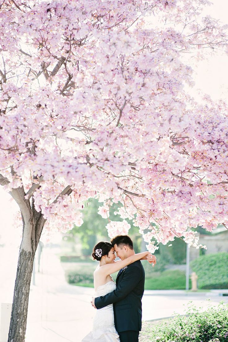 sakuraPINKが咲き誇る♡日本人の心のお花*桜が満開のHAPPY WEDDING＊にて紹介している画像