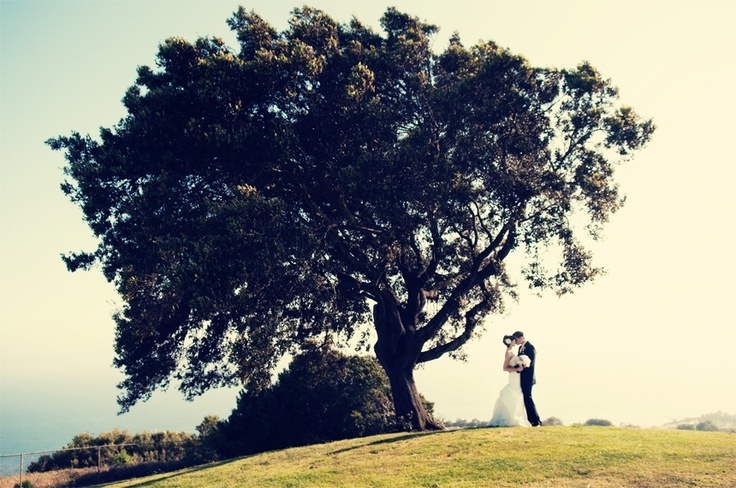 Not Just the Wedding Day: Creating Even More Beautiful Memories with Pre-Wedding Location Photography ♡にて紹介している画像