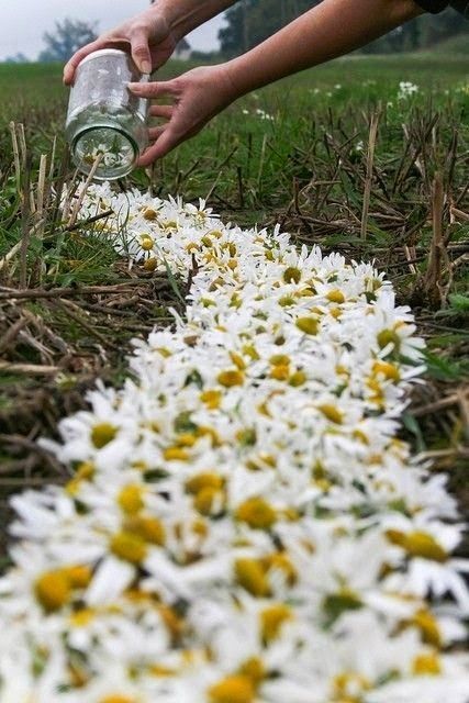 ロマンティックの極めつけ♡花びらで埋め尽くしたバージンロードが素敵すぎる！にて紹介している画像