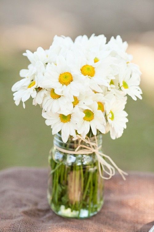 Charming Spring Wedding: Featuring Delicate Yellow and White "Margaret" Flowers as the Main Attraction ♡にて紹介している画像