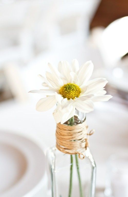 Charming Spring Wedding: Featuring Delicate Yellow and White "Margaret" Flowers as the Main Attraction ♡にて紹介している画像