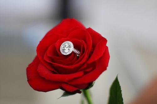 "Timeless Desire: A Memorable Wedding with Beautiful and Passionate Red Roses"にて紹介している画像