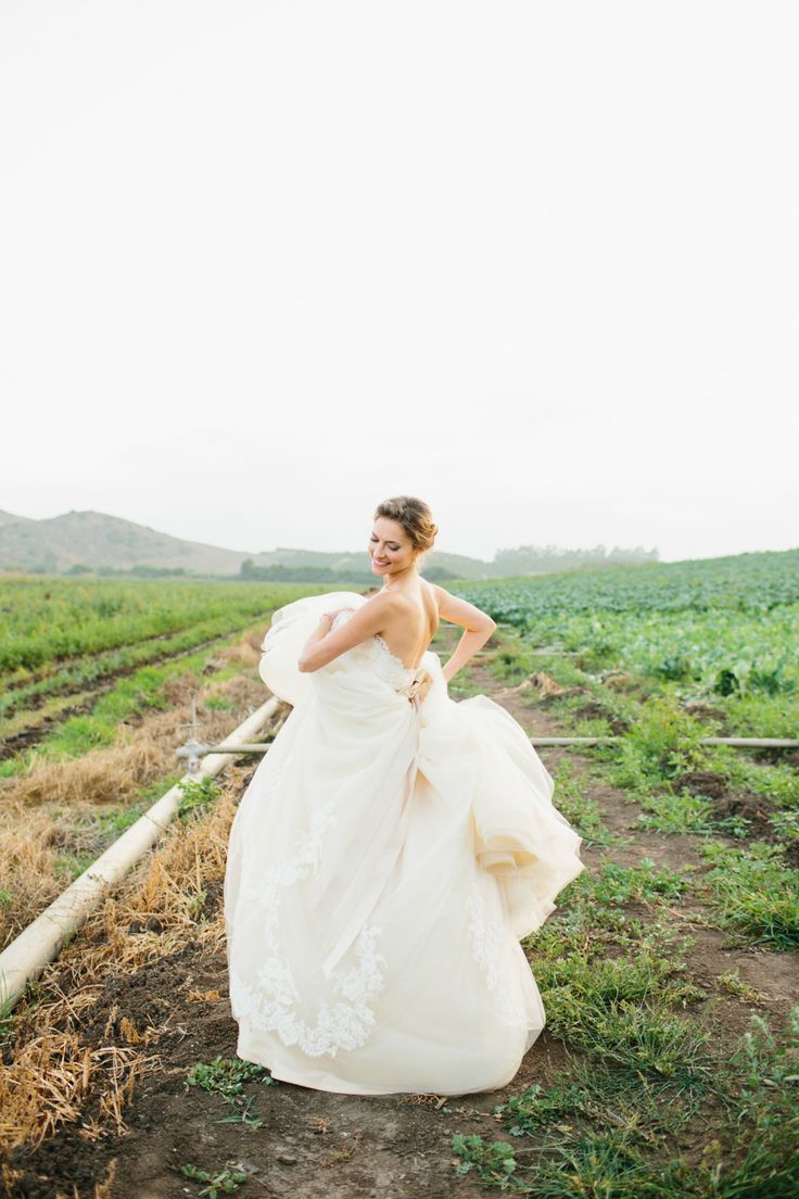 段々レースがかわいいドレスをあつめました。にて紹介している画像