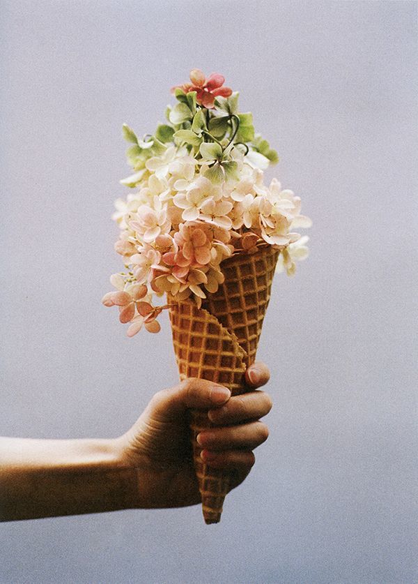 Do You Know About Flower Cones? ♡ Adorable Bouquets That Look Just Like Ice Cream! ♡にて紹介している画像