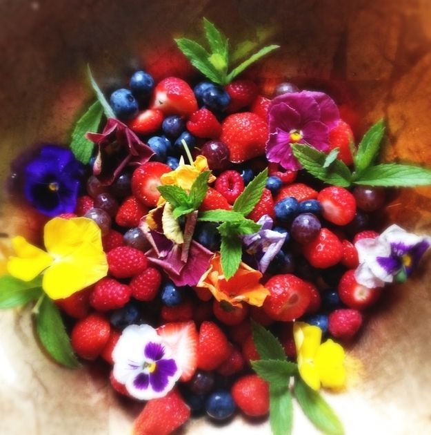 Botanical x Food: A Delightful Meal Adorned with Vibrant Flowers!にて紹介している画像