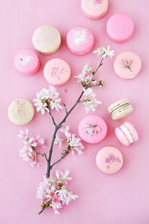 "Who knew it could be so expressive? The adorable 'Deco Macarons' are evolving!"にて紹介している画像