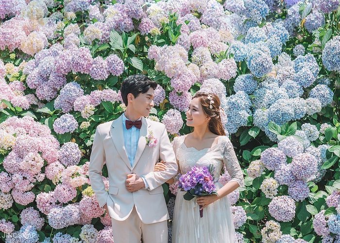 インスタでよく見る紫陽花いっぱいのフォト この写真が撮れるのは 韓国のあの場所です Marry マリー