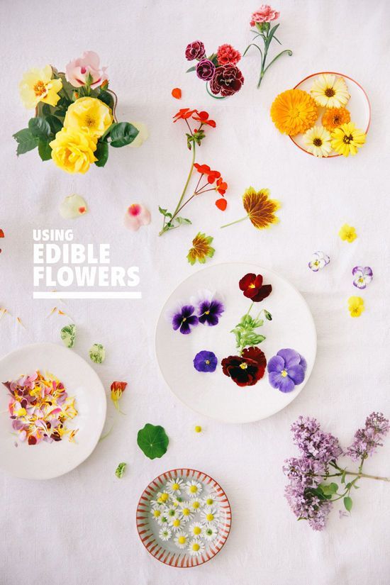 食べられるお花！「エディブルフラワー」を使ったお食事が可愛すぎて感動♡にて紹介している画像