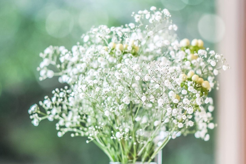 どのお花が安くて、どのお花が高いか知ってる?花材の相場について考えてみた*にて紹介している画像