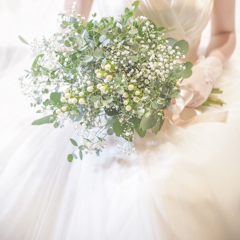 "Annuals and Perennials: Did You Know There Are Two Types of Baby's Breath?"にて紹介している画像