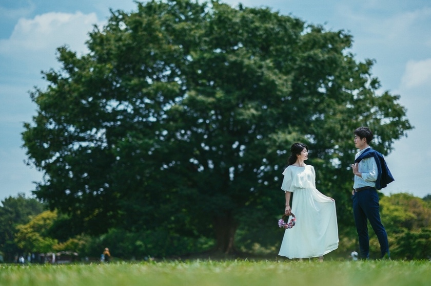 Discovering the Language of Trees: Exploring Tree Symbolism in Trendy Declaration Trees!にて紹介している画像