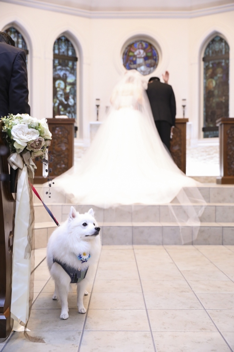 "Inviting Your Pup: A Creative and Thoughtful Way to Announce a Ring Dog with a Sticky Note Invitation!"にて紹介している画像