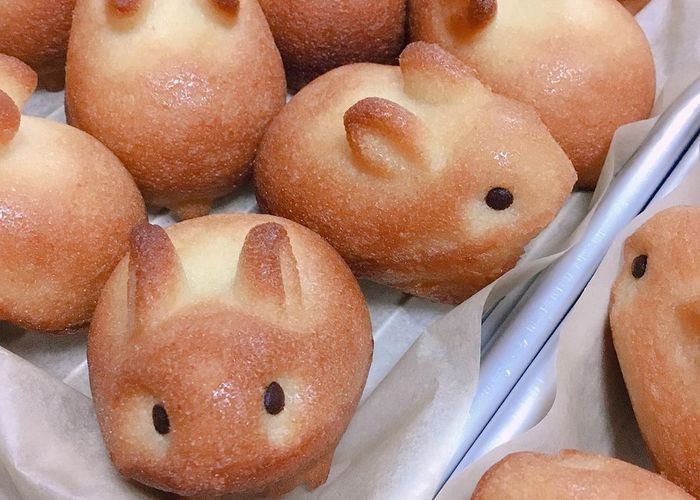 耳もおしりも尻尾も目も可愛い 予約販売のみ いつも完売 うさぎのフィナンシェ が気になる Marry マリー