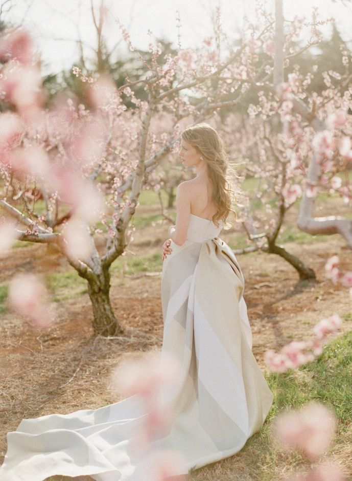 A Soul-Cleansing Beauty: Capturing the Moment of Full Bloom Sakura for a Limited Time Wedding Photo ♡にて紹介している画像