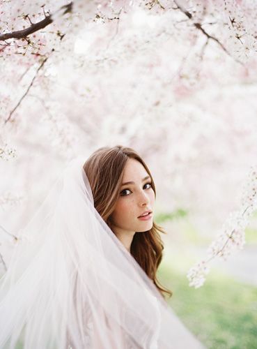 A Soul-Cleansing Beauty: Capturing the Moment of Full Bloom Sakura for a Limited Time Wedding Photo ♡にて紹介している画像