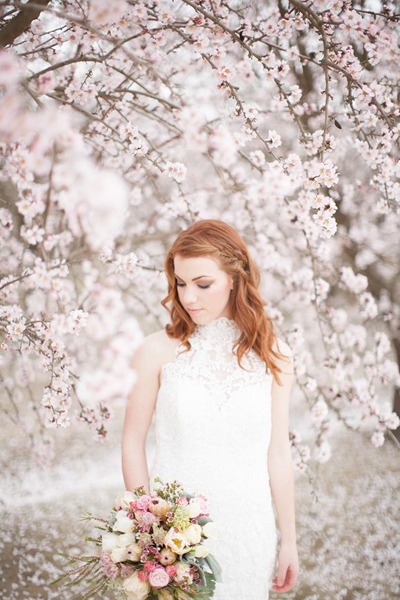 A Soul-Cleansing Beauty: Capturing the Moment of Full Bloom Sakura for a Limited Time Wedding Photo ♡にて紹介している画像
