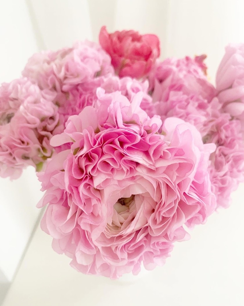 "Introducing the Language of Flowers and Their Blooming Seasons: 36 Classic Flower Choices Often Used in Wedding Bouquets"にて紹介している画像