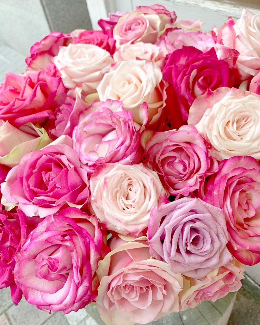 What do the number and color of roses mean? What is the price? Points to consider when giving 108 roses for a proposal.にて紹介している画像