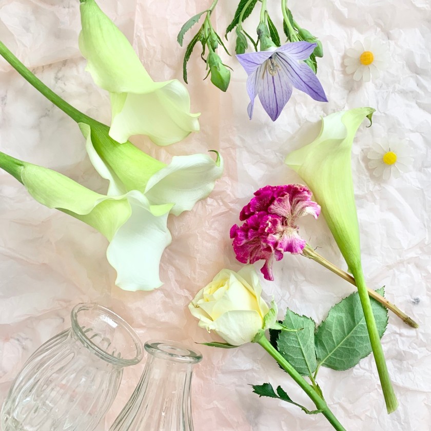 그 이름에 첫눈에 반하다. 귀여운 이름의 꽃 10종류♡にて紹介している画像