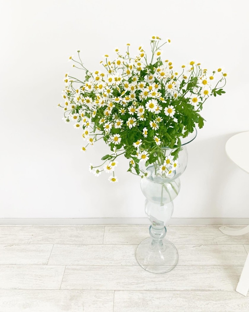 今さら聞けないかも!?結婚式でよく使う『英語フレーズ』の意味と使い方のおさらい♡にて紹介している画像