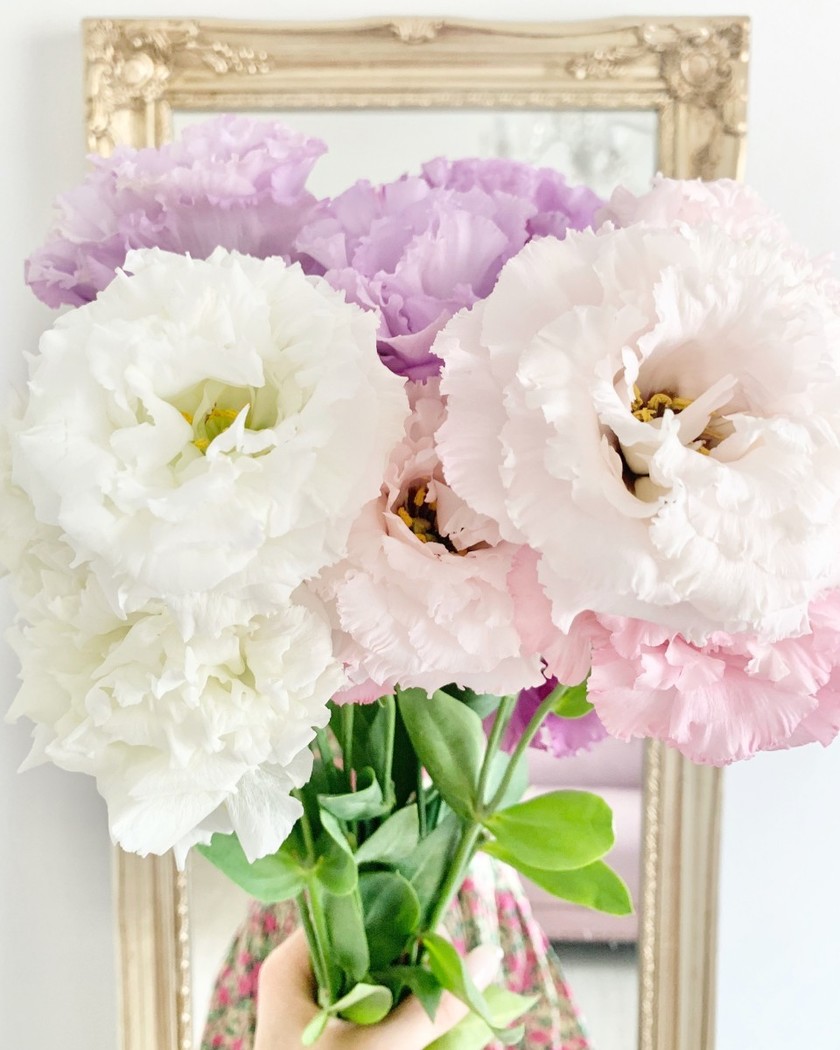 Not the Usual! Giving Gifts from Parents: Consider Giving What They Truly Desire!にて紹介している画像