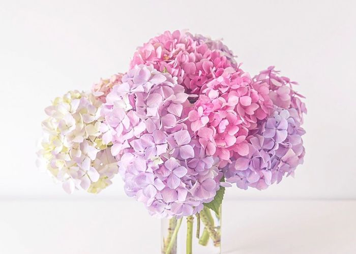 画像35枚 ジューンブライドなら絶対に見てほしい 可愛い紫陽花ブーケの参考画像集 Marry マリー