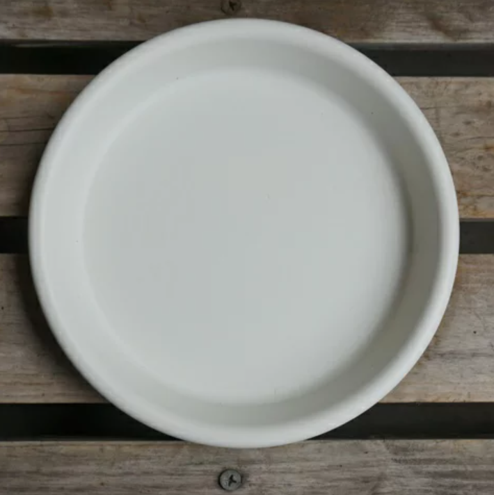 A Comprehensive Guide to Choosing: Recommended Trees and Pots for the Wedding Ceremony Ritual of "Tree Planting"♡にて紹介している画像