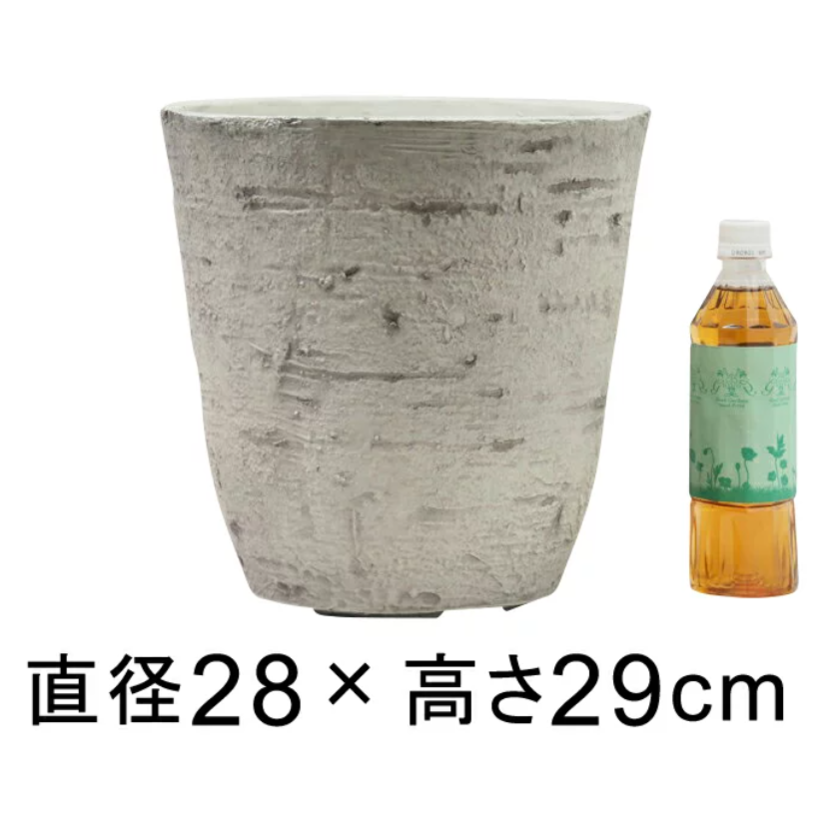 A Comprehensive Guide to Choosing: Recommended Trees and Pots for the Wedding Ceremony Ritual of "Tree Planting"♡にて紹介している画像