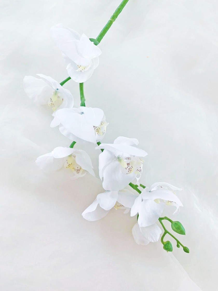 For Those Who Love the Atmosphere of Orchids♡ Using Cymbidium in Traditional Japanese Hairstyles and Bouquetsにて紹介している画像