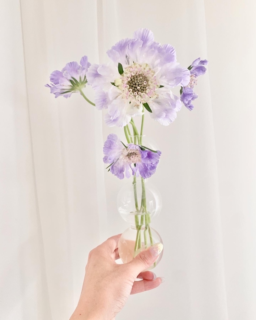 "Dealing with Delayed Weddings: Solutions for Staying Positive and Boosting Motivation!"にて紹介している画像