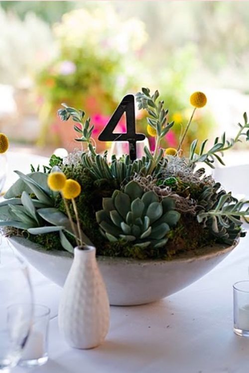 The Secret to Popularity: Adorable Succulents with a Round Shape are a Big Hit at Weddings!にて紹介している画像