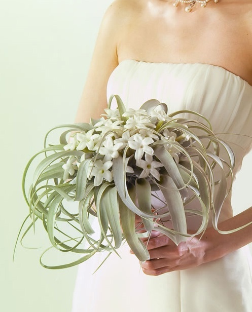 The Secret to Popularity: Adorable Succulents with a Round Shape are a Big Hit at Weddings!にて紹介している画像